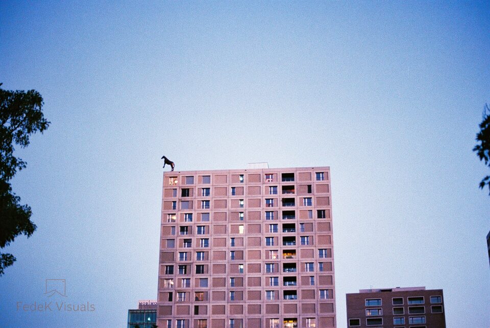 A dark horse sculpture standing on the roof edge of a pink concrete tower block at blue hour.