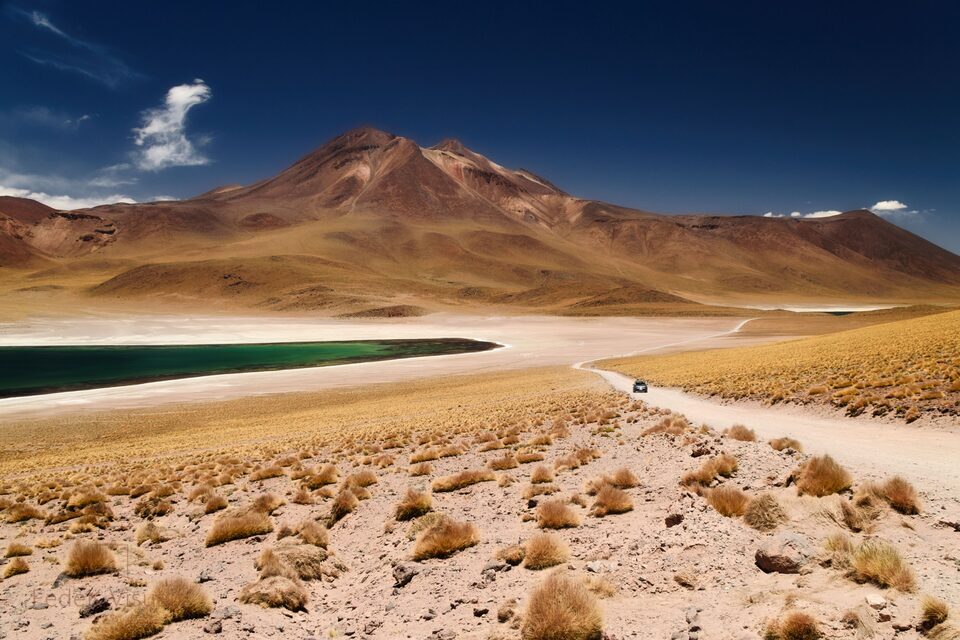 A dark volcanic cone above a vivid green lagoon on a pale desert plain in the Atacama.