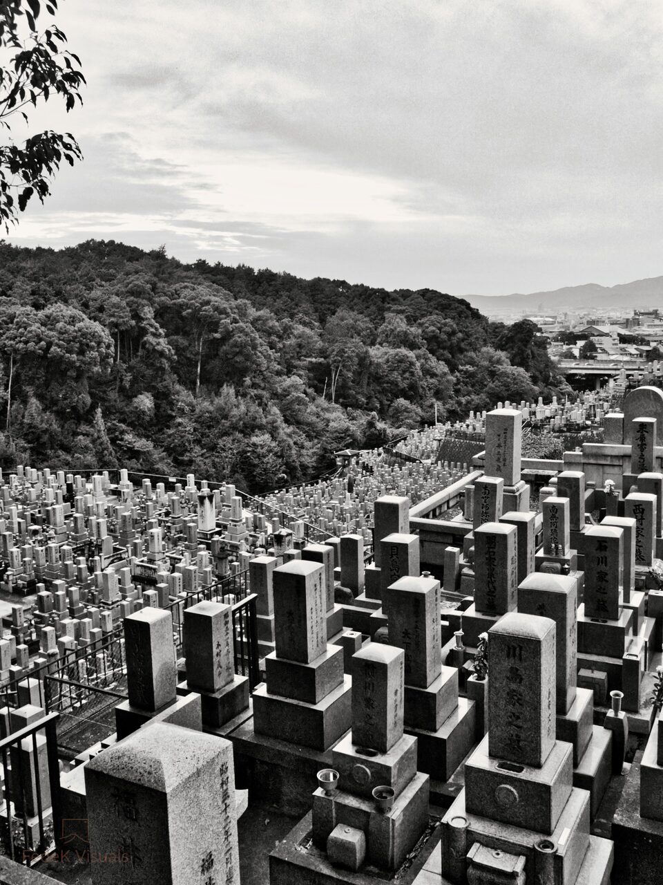 Black and white view over a dense hillside cemetery, hundreds of stone markers stepping down the slope.